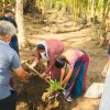 ‘Haritha Deyak’ National Home Gardening Program